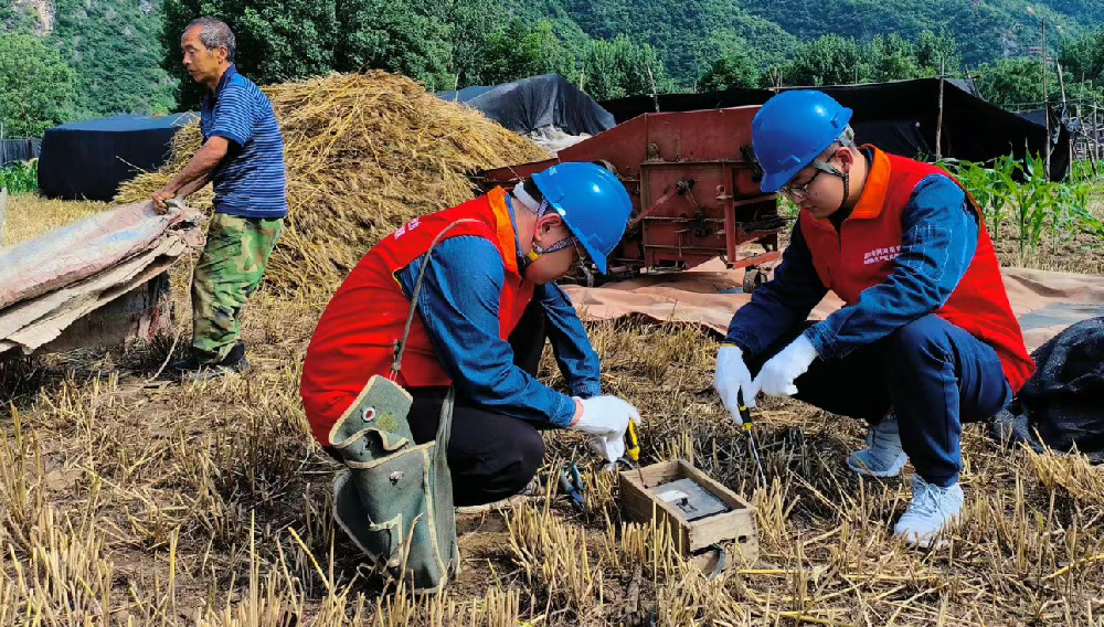 成都电力运维|国网河南省电力公司全力保障夏粮抢收党员树新风